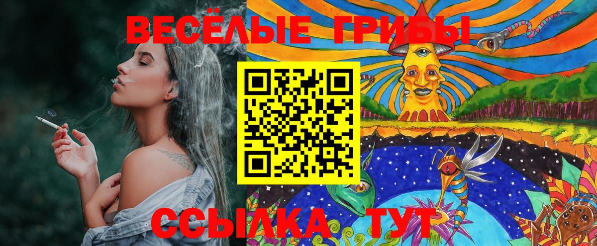 Псилоцибиновые грибы Psilocybine cubensis  Псилоцибиновые грибы Cubensis  Вход с VPN  Краснокаменск 